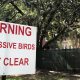 Warning Aggressive Birds Sign