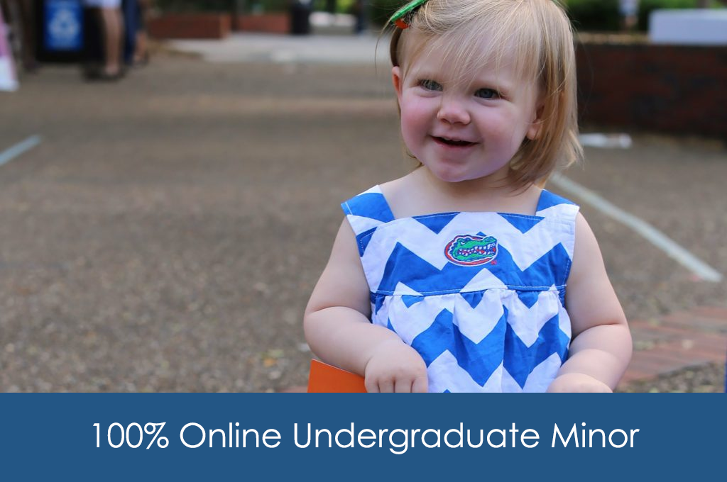 100% Online Undergraduate Minor