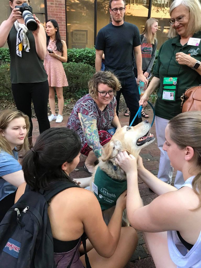 Mac the Therapy Dog
