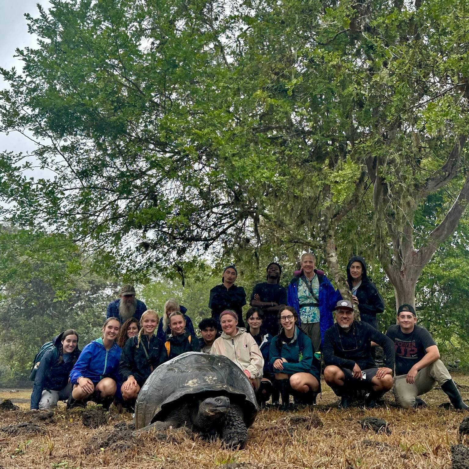 A group of students standing behind a tortoise.