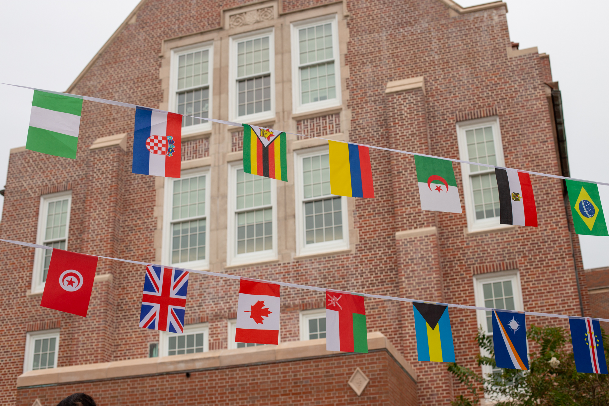 Flags in front of Norman Hall